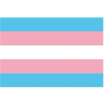 Rainbow Transgender Flag Sticker