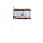 Rainbow White star 30 x 45 cm. Stick Flag