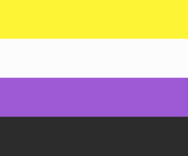 Non Binary flag 90 x 150 cm