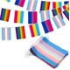 LGBTQ Mixed Pride Flag Bunting