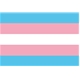 Rainbow Transgender Flag Sticker