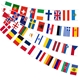 Eurovision Party Flags Bunting