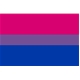 Bisexual flag 90 x 150 cm