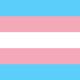 Transgender flag 80 x 110 cm