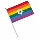 Rainbow star 30 x 45 cm. Stick Flag