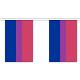 Bisexual flag Bunting