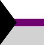 Demisexual flag 90 x 150 cm