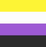 Non Binary flag 90 x 150 cm