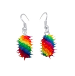 Rainbow Funky Earring
