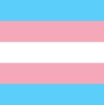 Transgender flag 80 x 110 cm